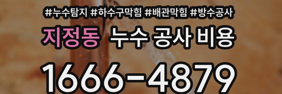 지정동 누수 공사 비용