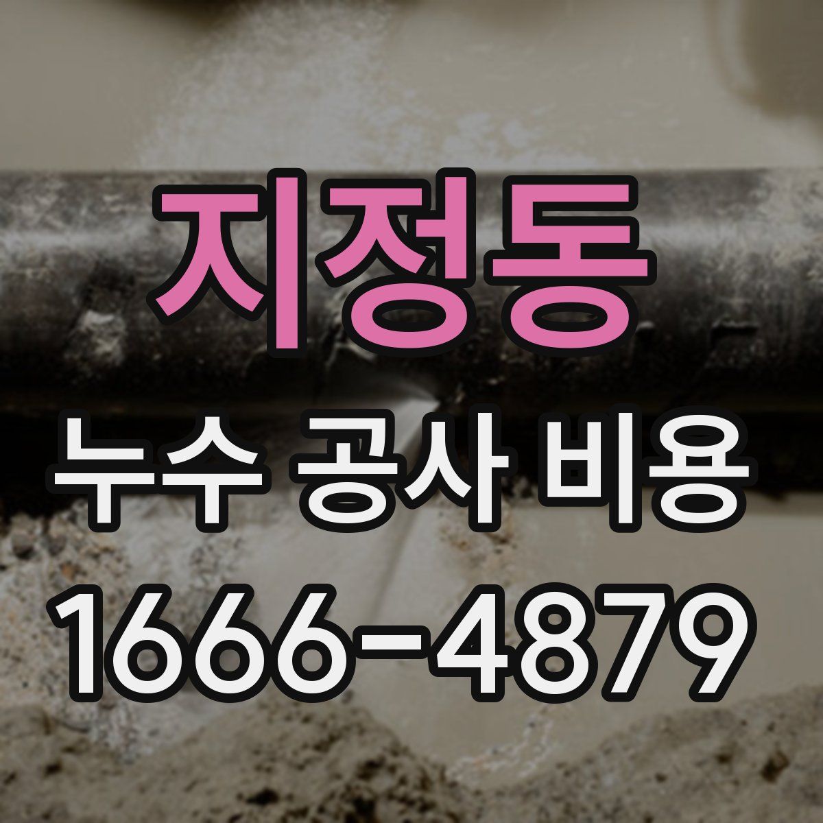 지정동 누수 공사 비용
