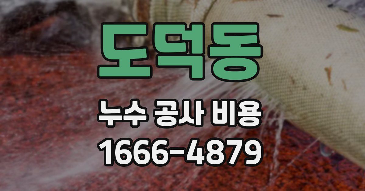 도덕동 누수 공사 비용
