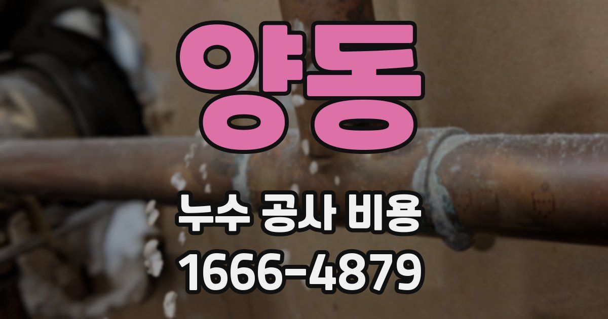 양동 누수 공사 비용