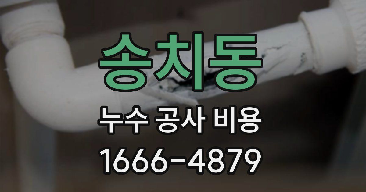 송치동 누수 공사 비용
