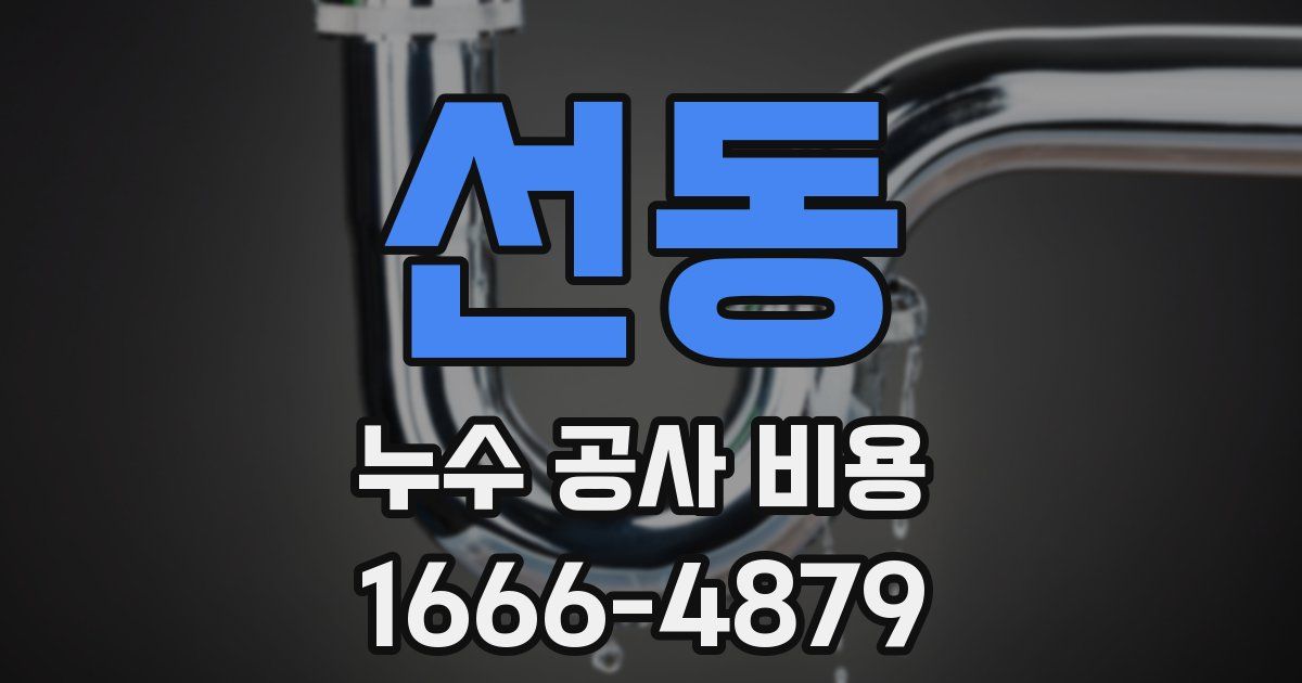 선동 누수 공사 비용