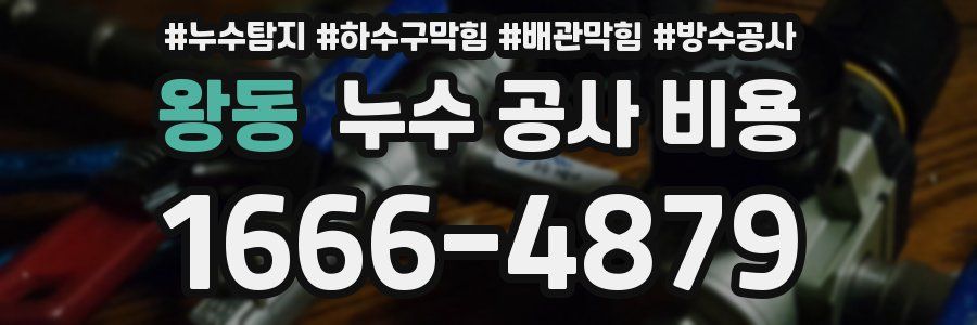 왕동 누수 공사 비용