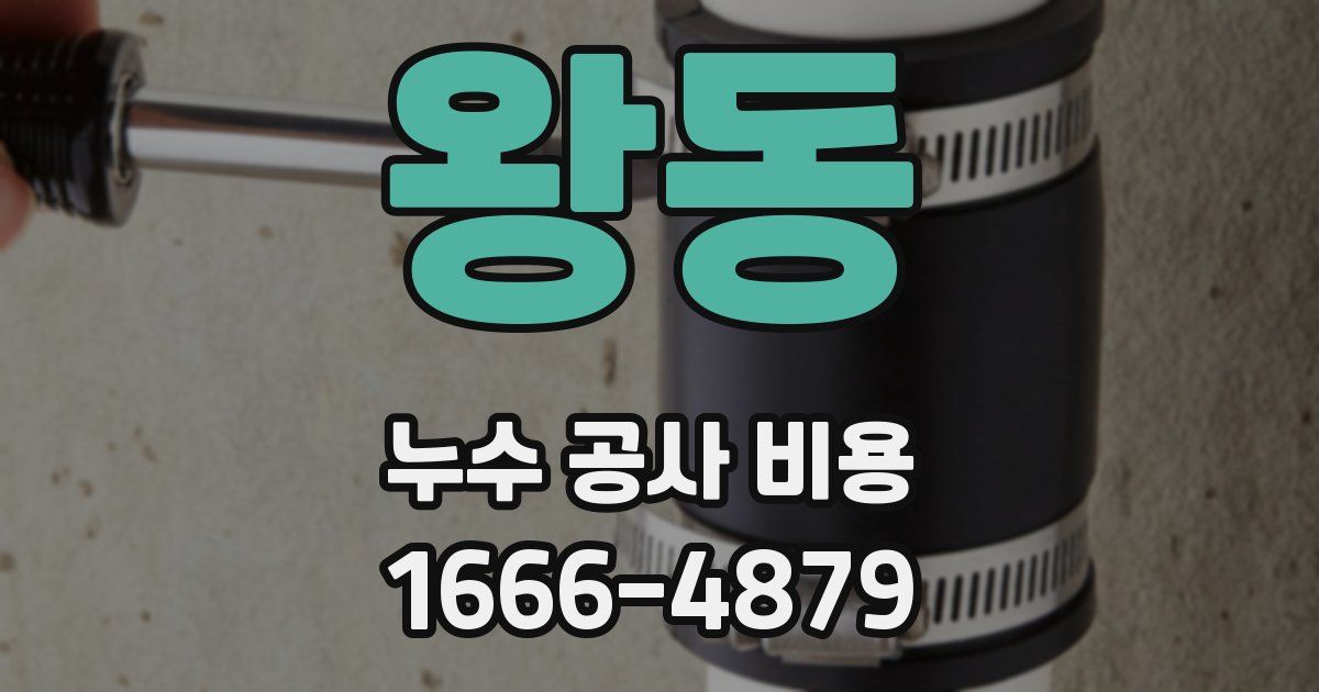 왕동 누수 공사 비용