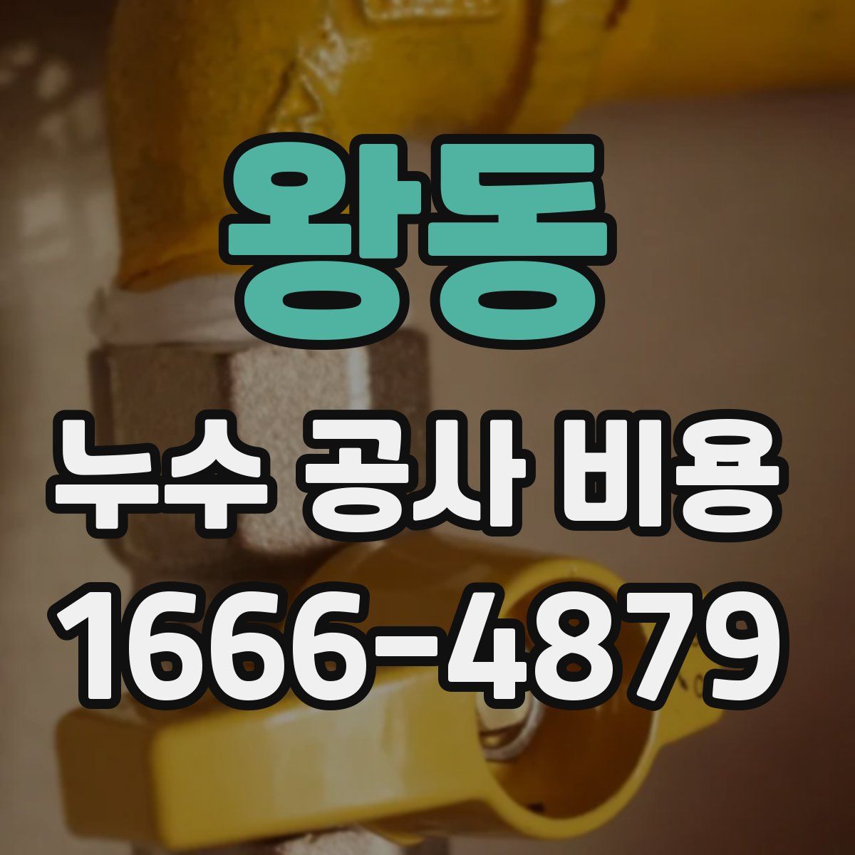 왕동 누수 공사 비용