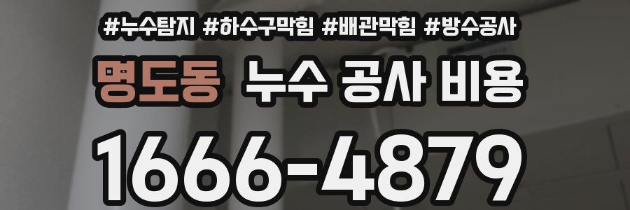 명도동 누수 공사 비용