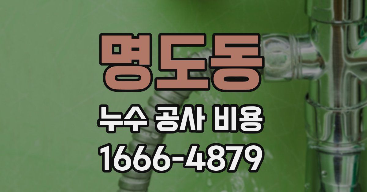 명도동 누수 공사 비용
