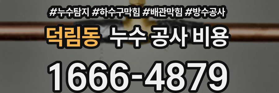 덕림동 누수 공사 비용