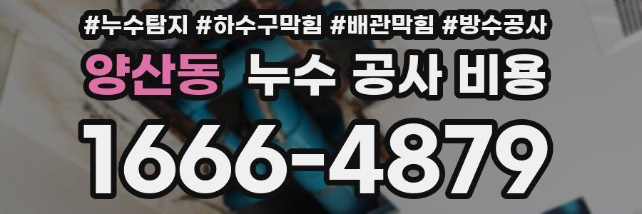 양산동 누수 공사 비용
