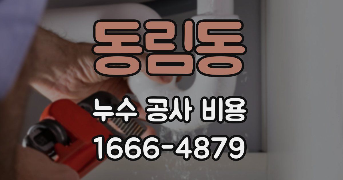 동림동 누수 공사 비용