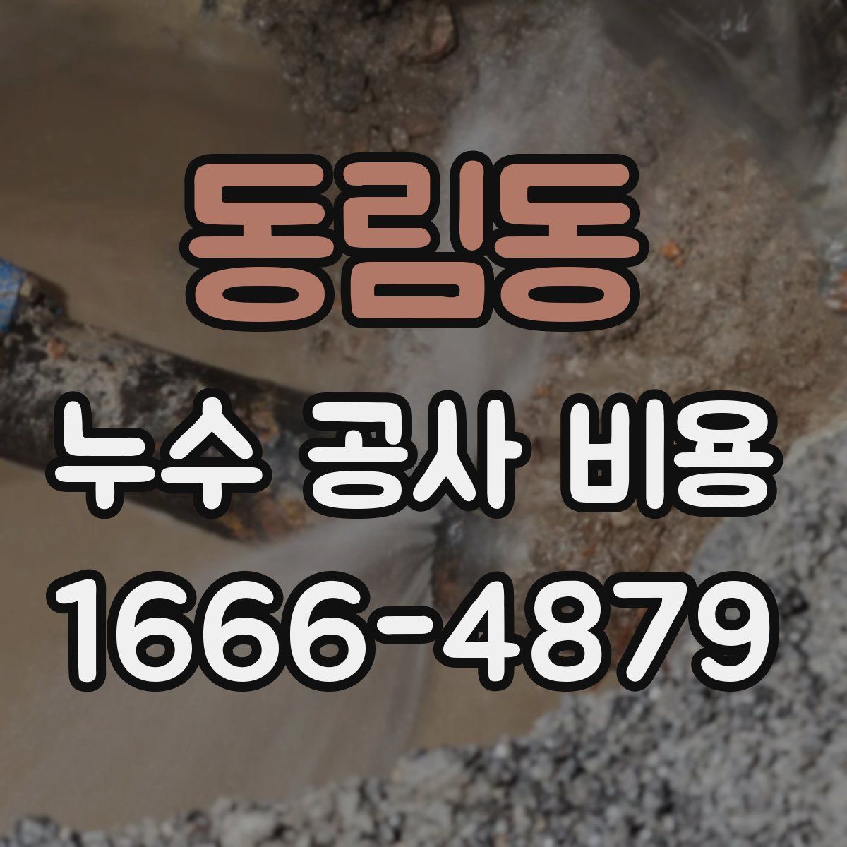 동림동 누수 공사 비용