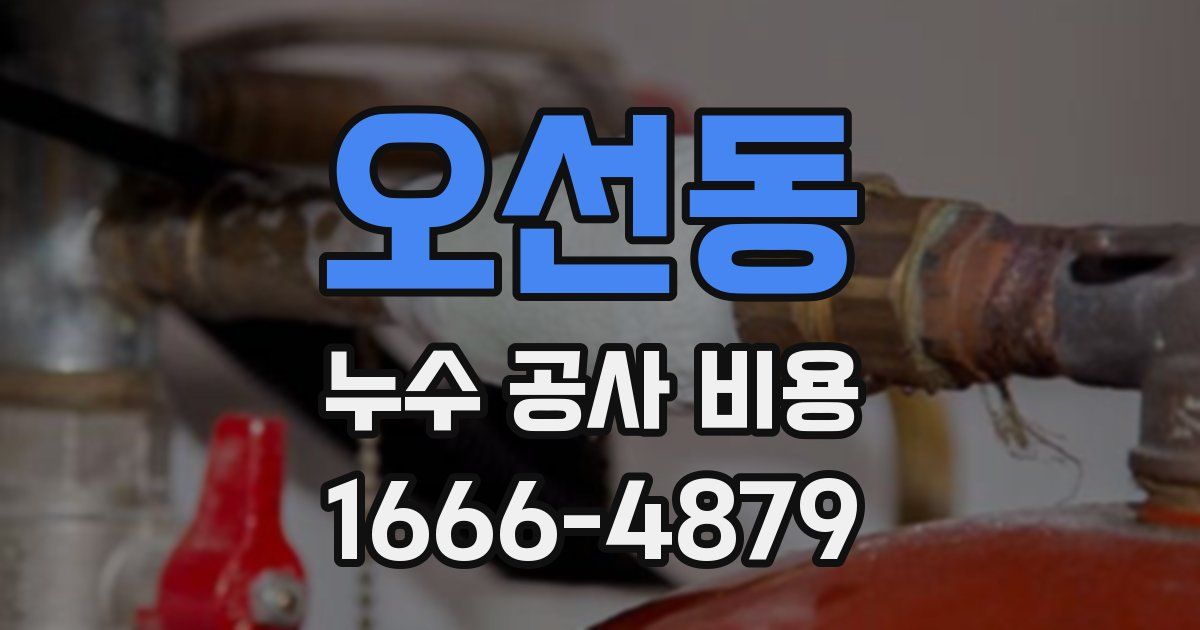 오선동 누수 공사 비용