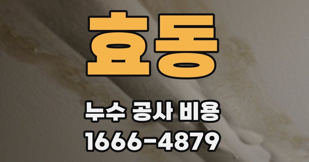 효동 누수 공사 비용