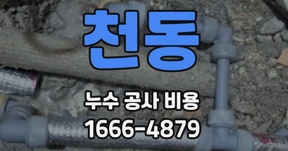 천동 누수 공사 비용