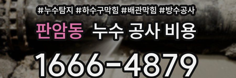 판암동 누수 공사 비용