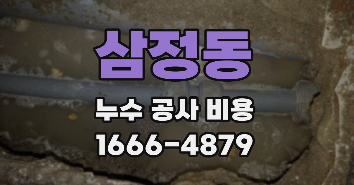삼정동 누수 공사 비용