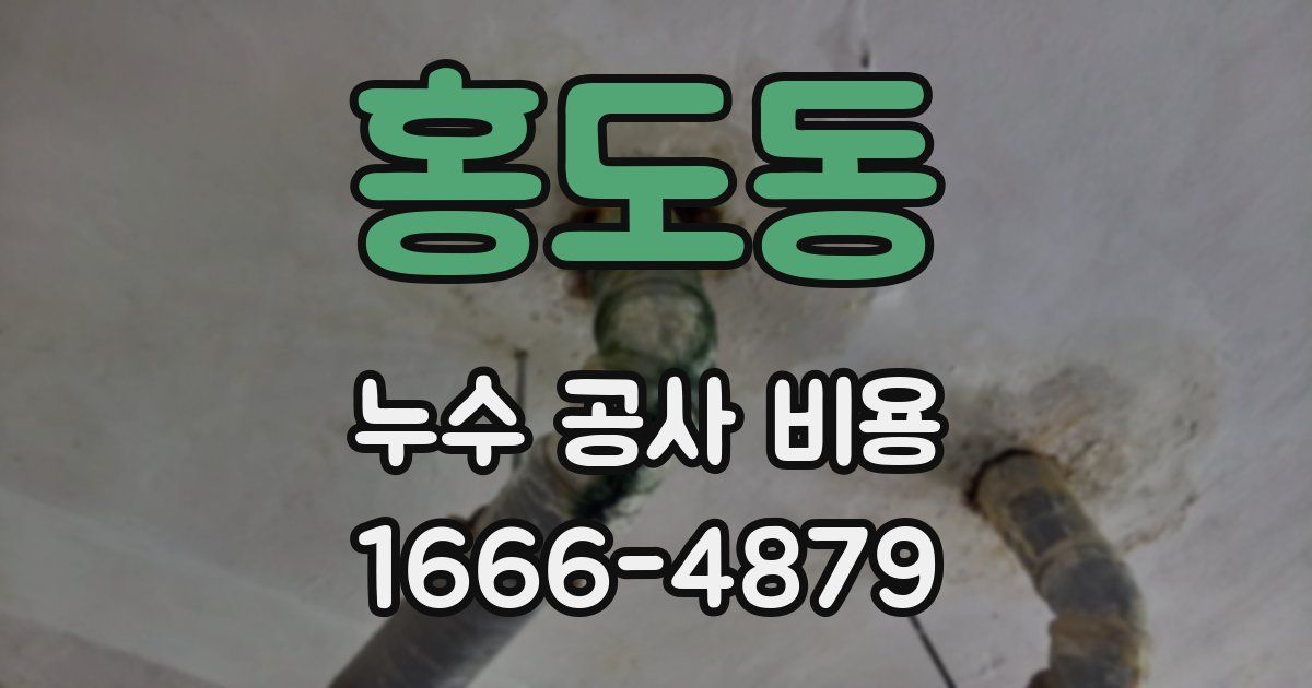 홍도동 누수 공사 비용