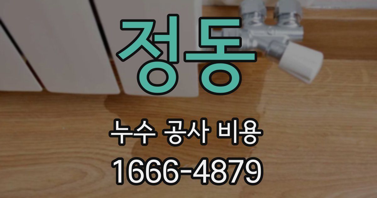 정동 누수 공사 비용