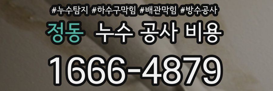정동 누수 공사 비용