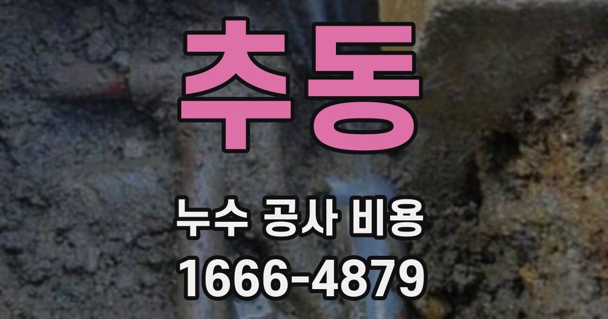 추동 누수 공사 비용