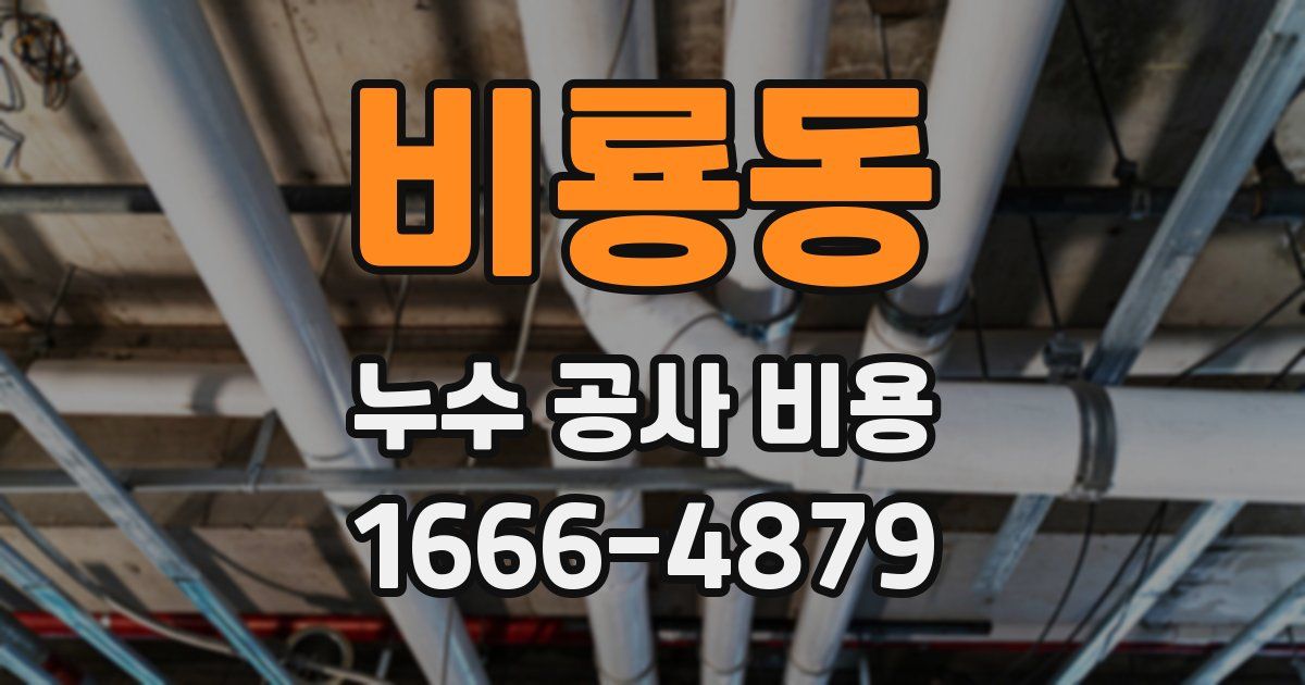 비룡동 누수 공사 비용