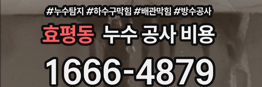 효평동 누수 공사 비용