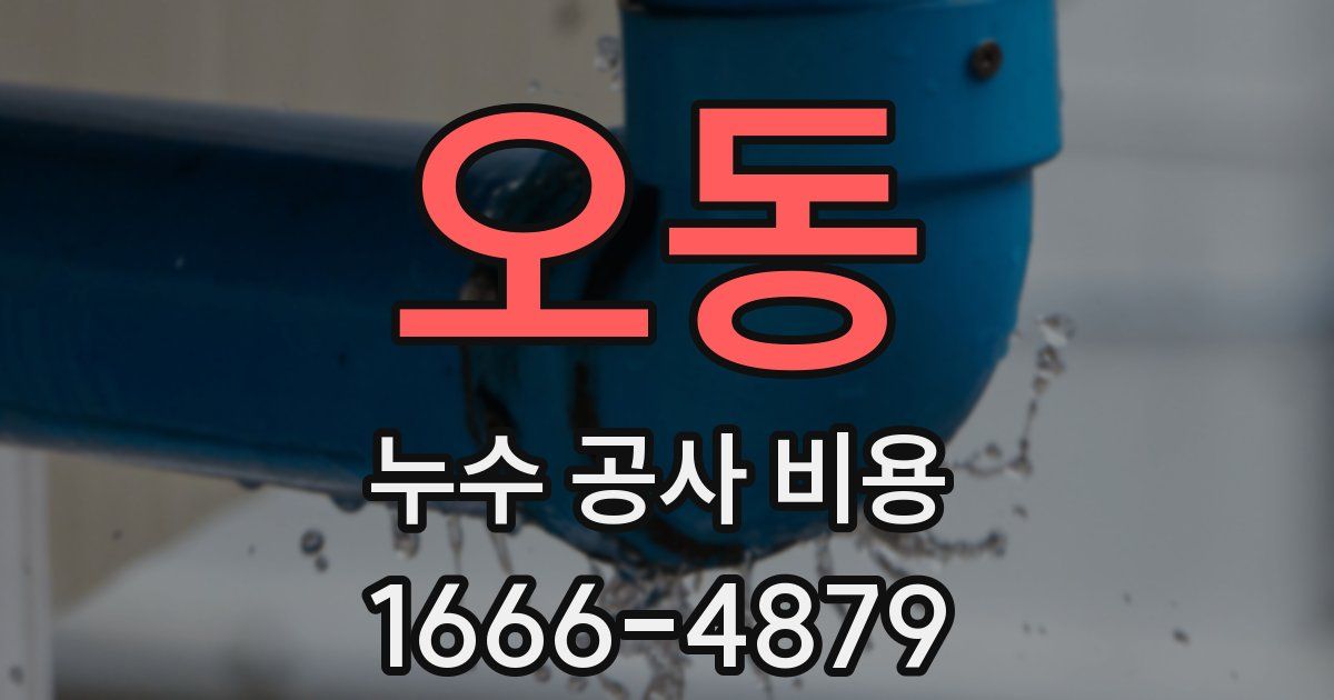 오동 누수 공사 비용