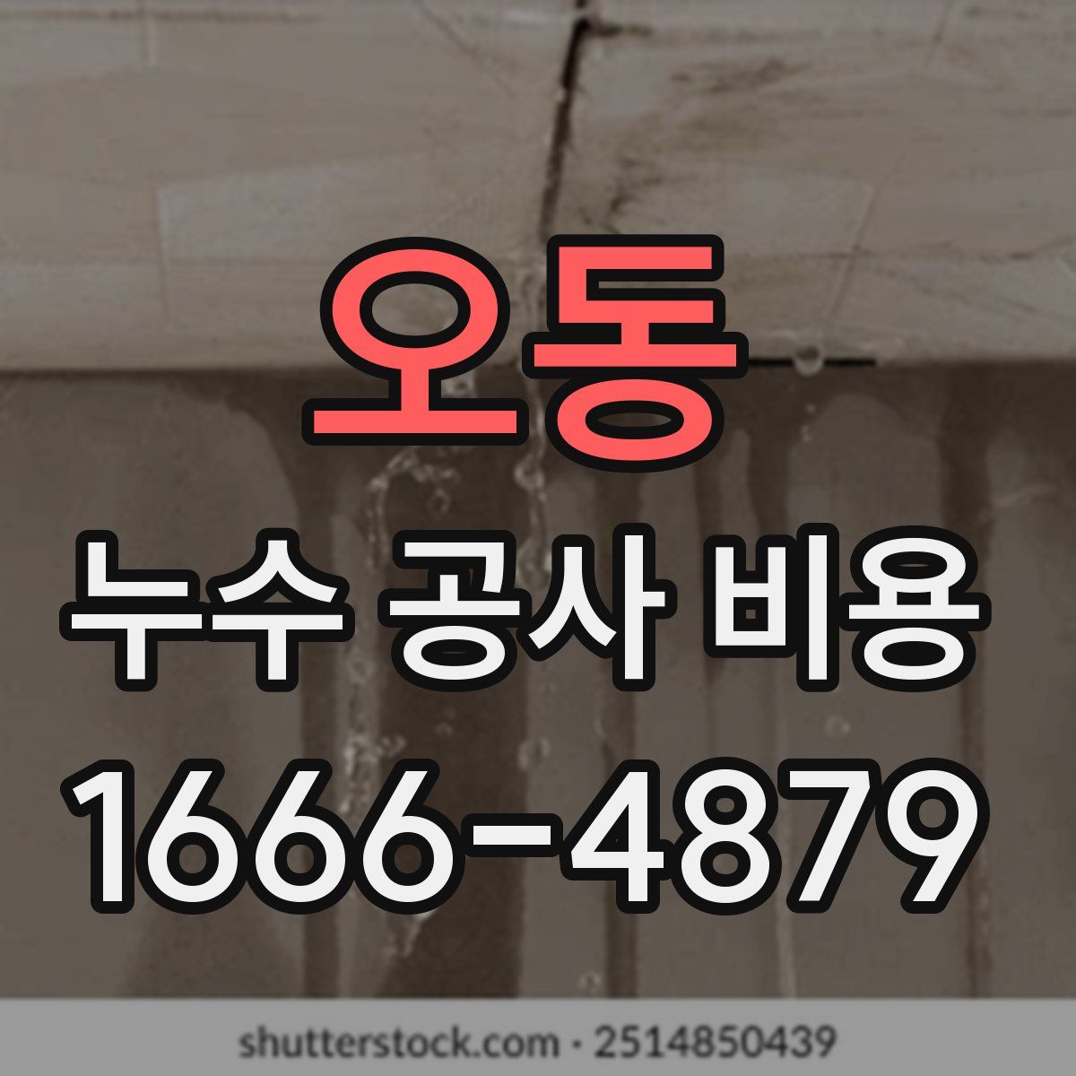오동 누수 공사 비용
