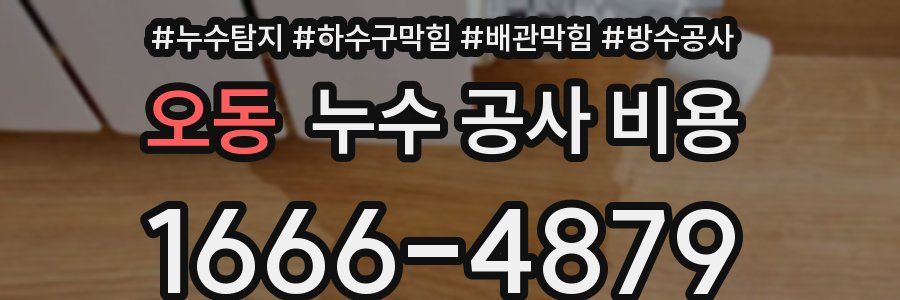 오동 누수 공사 비용