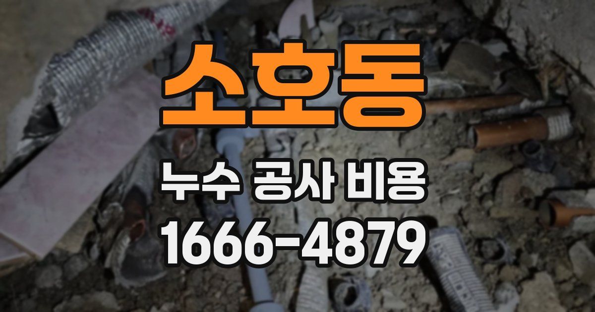 소호동 누수 공사 비용