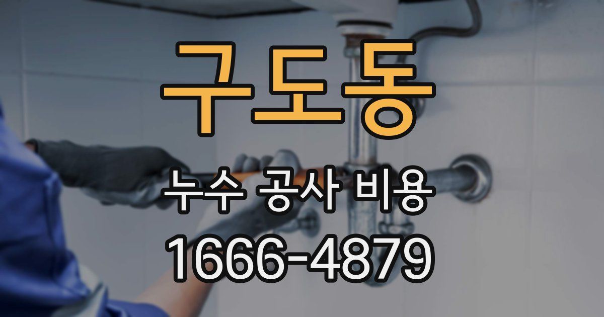 구도동 누수 공사 비용