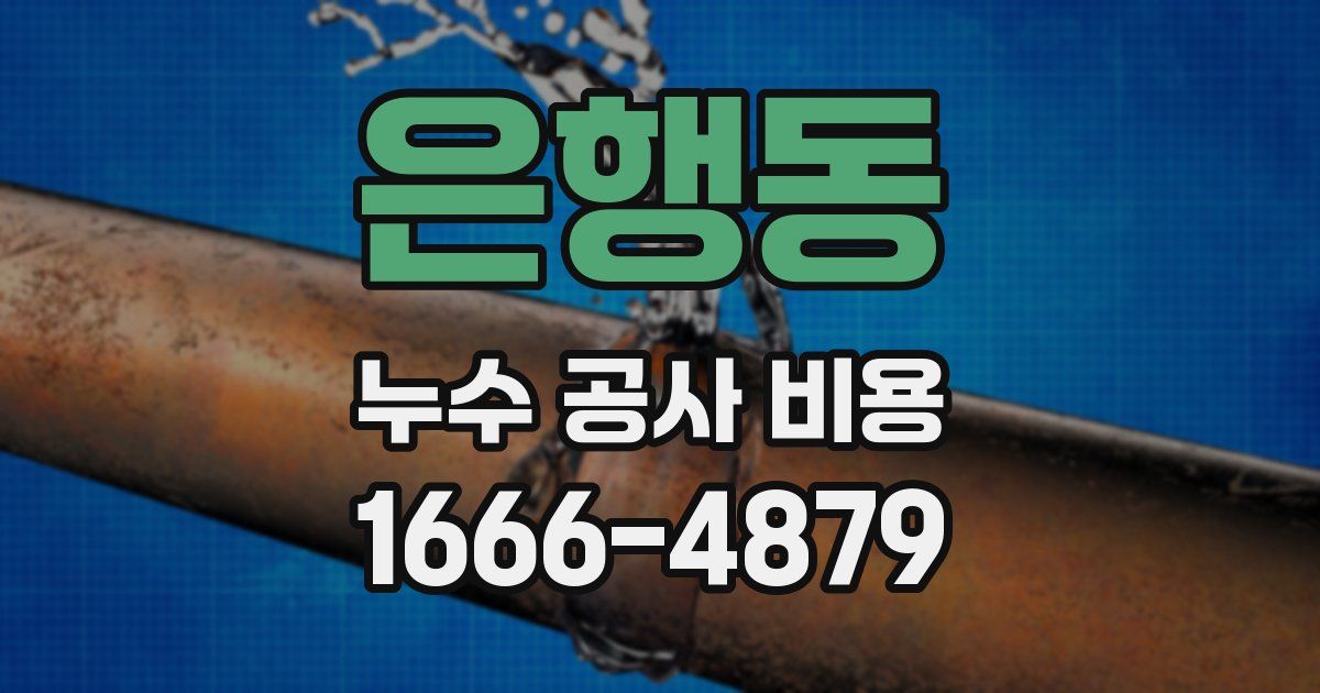 은행동 누수 공사 비용