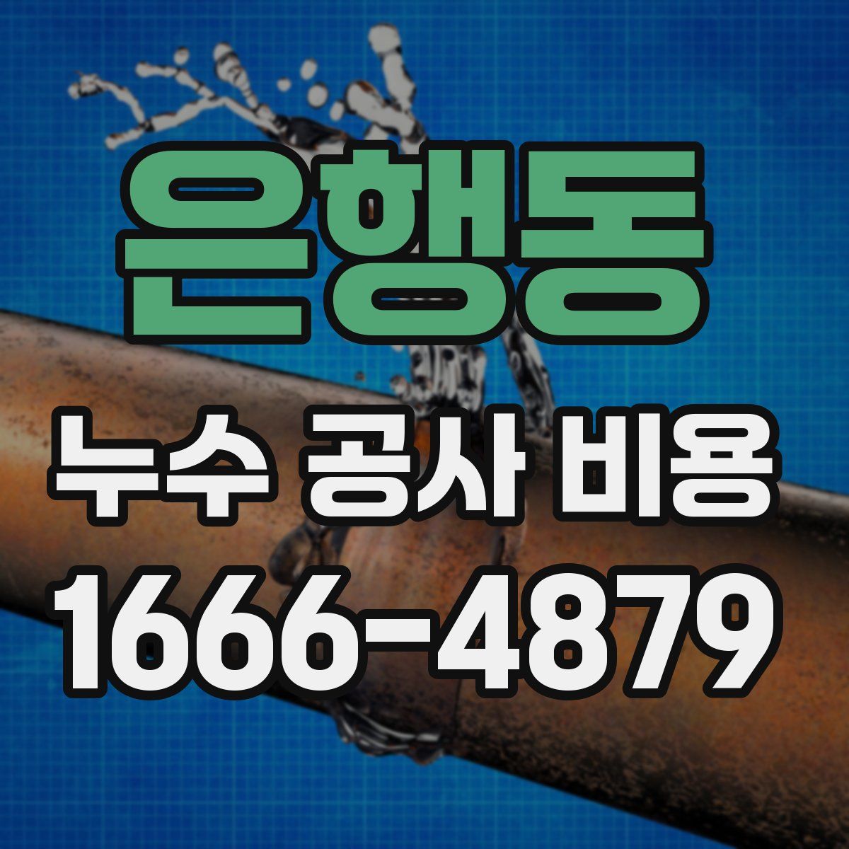 은행동 누수 공사 비용