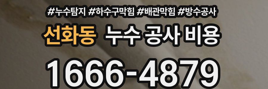 선화동 누수 공사 비용