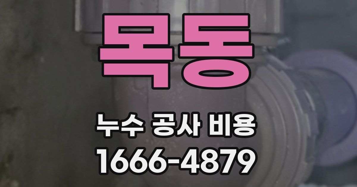 목동 누수 공사 비용