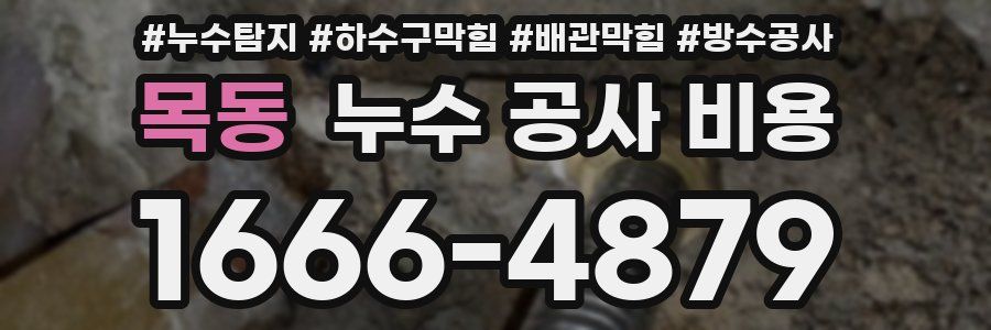 목동 누수 공사 비용