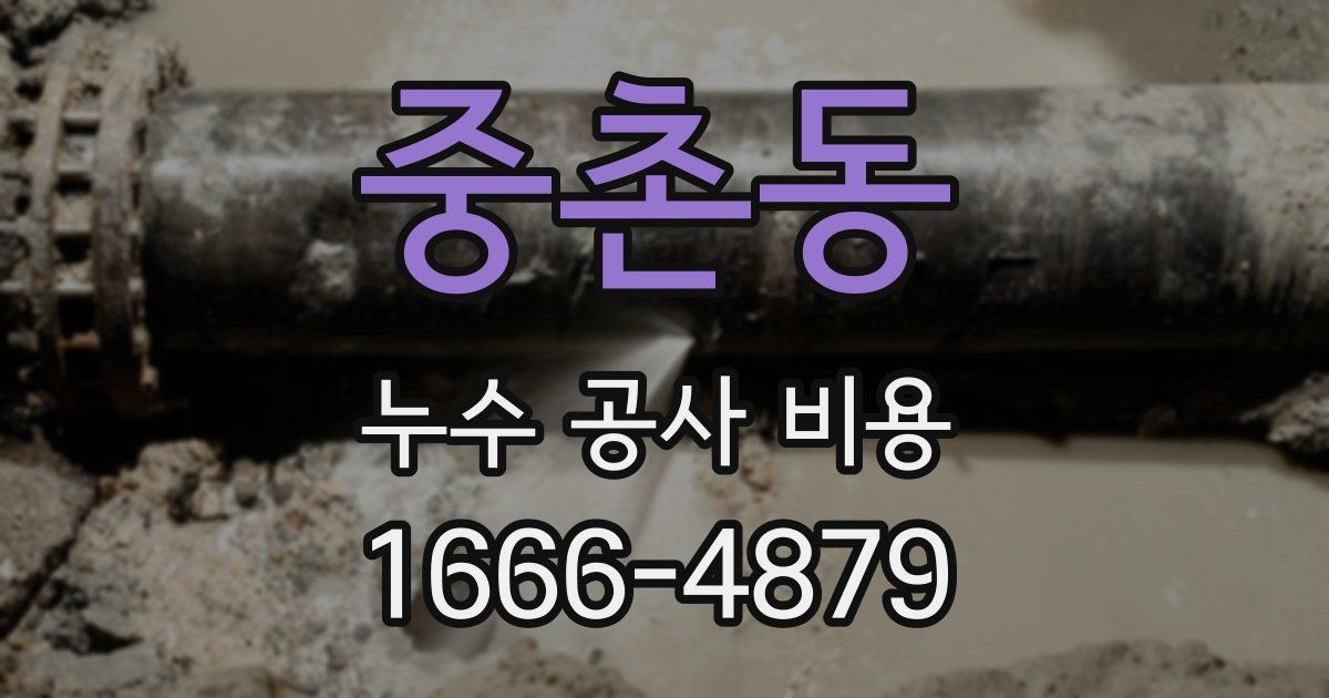중촌동 누수 공사 비용