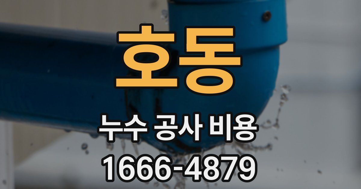 호동 누수 공사 비용