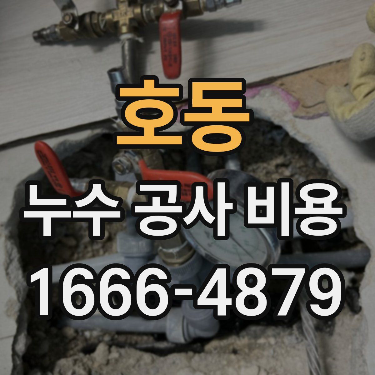 호동 누수 공사 비용