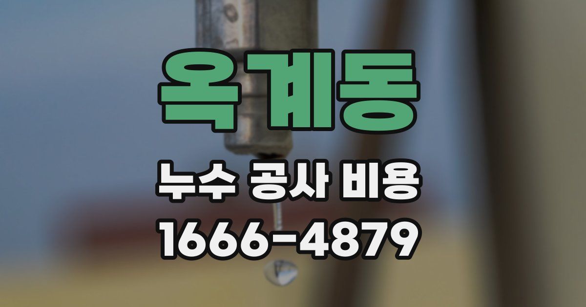 옥계동 누수 공사 비용