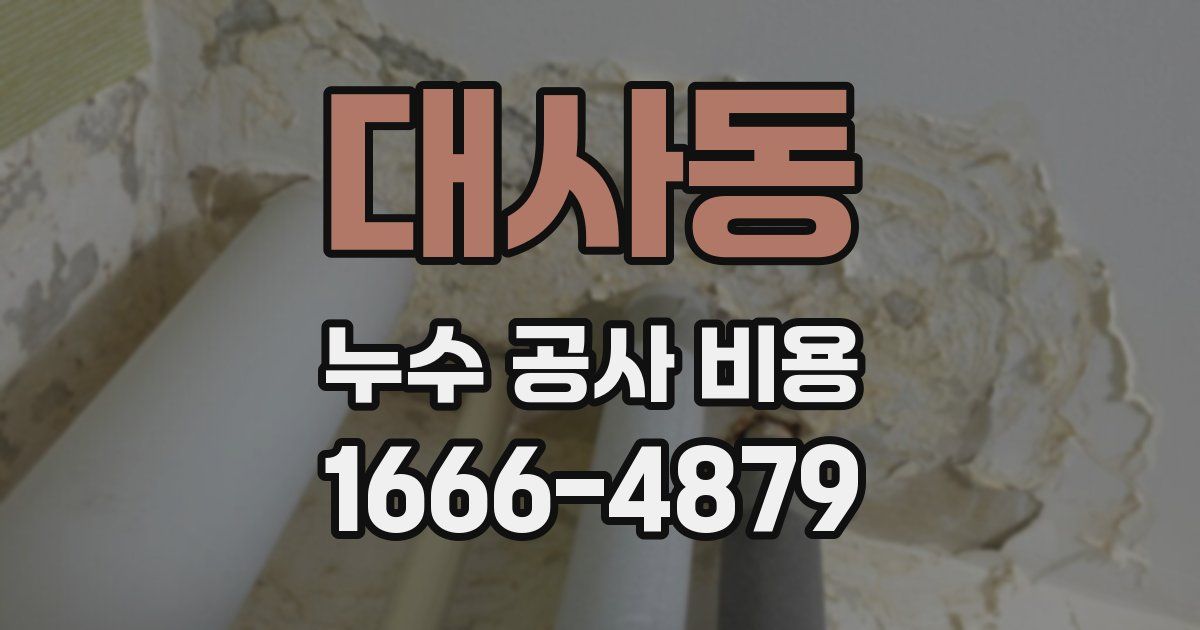 대사동 누수 공사 비용