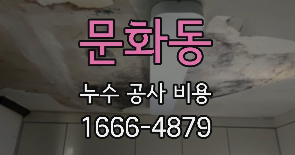 문화동 누수 공사 비용