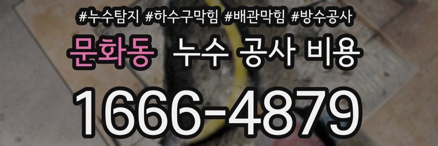 문화동 누수 공사 비용