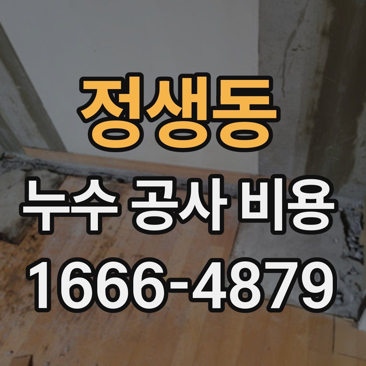 정생동 누수 공사 비용