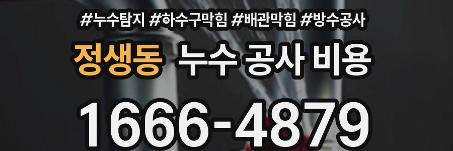 정생동 누수 공사 비용