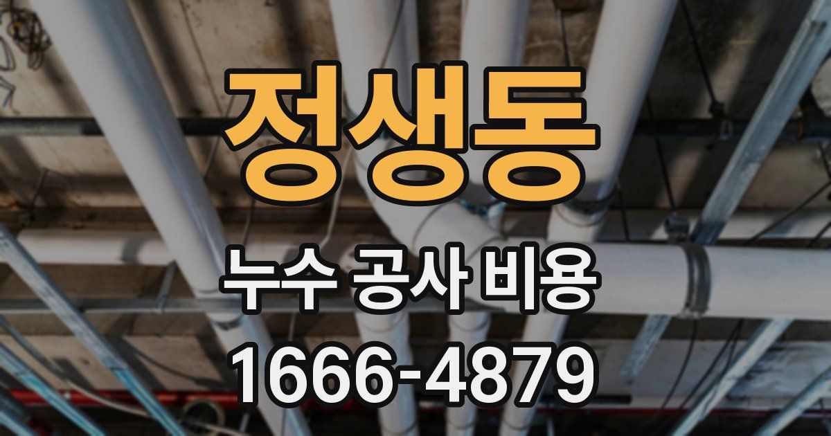 정생동 누수 공사 비용