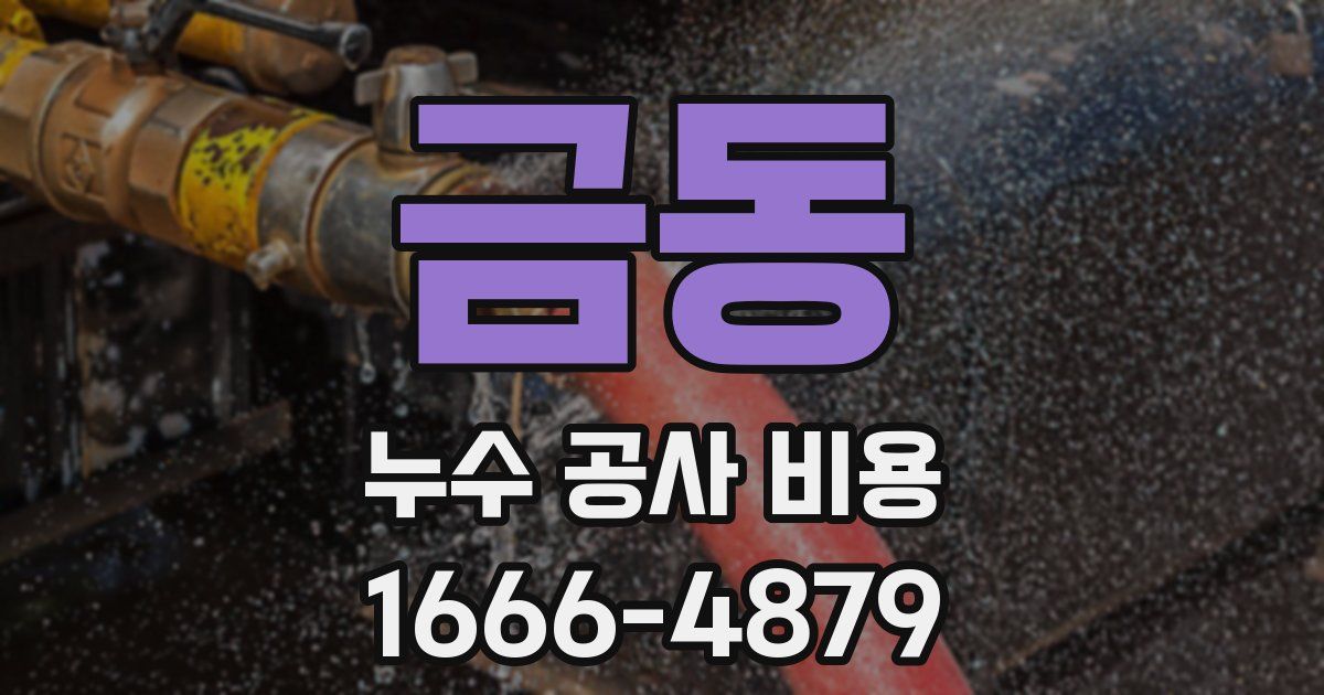 금동 누수 공사 비용