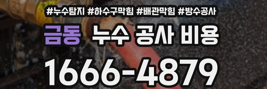 금동 누수 공사 비용