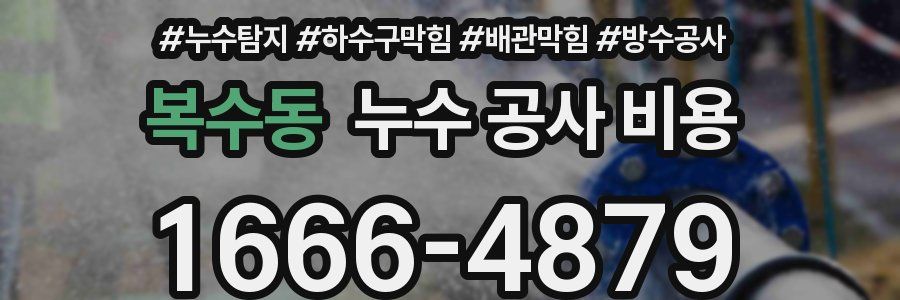 복수동 누수 공사 비용