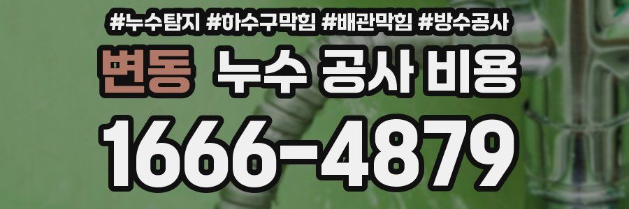 변동 누수 공사 비용